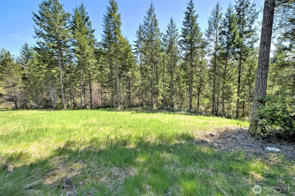 Photo of 161 E Lexington Place, Shelton, WA 98584 (MLS # 2478168)