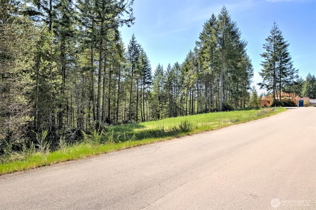 Photo of 161 E Lexington Place, Shelton, WA 98584 (MLS # 2478168)