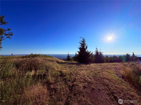 Photo of 2519 China Garden Road, Kalama, WA 98625 (MLS # 2556715)