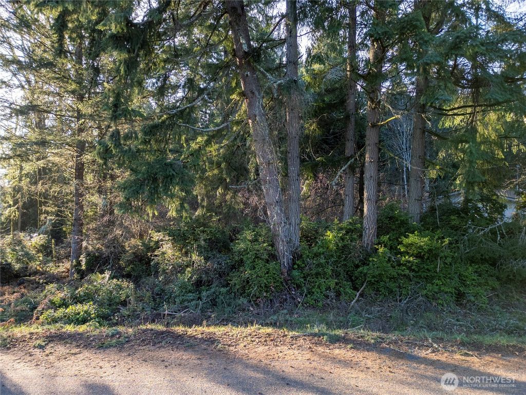 Photo of 10916 Seaview Drive, Anderson Island, WA 98303 (MLS # 2472390)