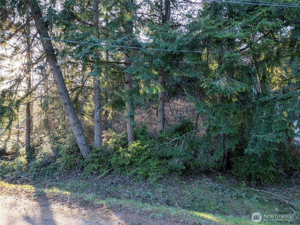 Photo of 10916 Seaview Drive, Anderson Island, WA 98303 (MLS # 2472390)