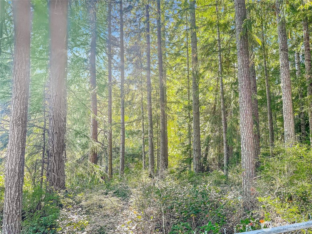 Photo of 300 Kerr Road, Silverlake, WA 98645 (MLS # 2447688)