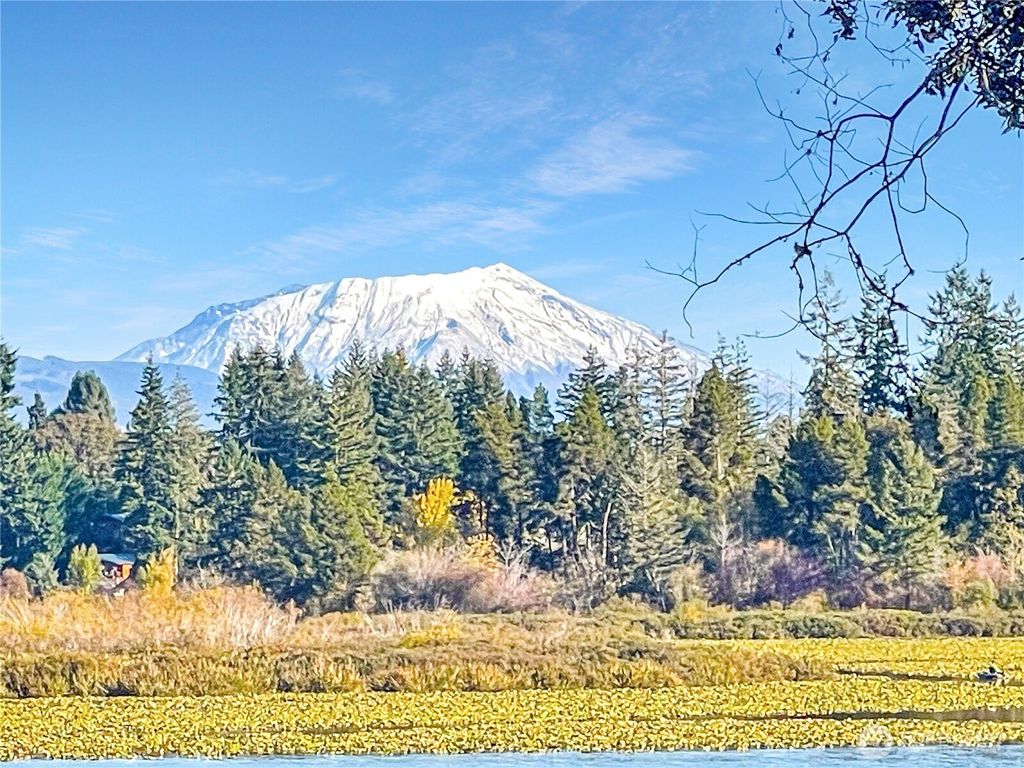 Photo of 300 Kerr Road, Silverlake, WA 98645 (MLS # 2447688)