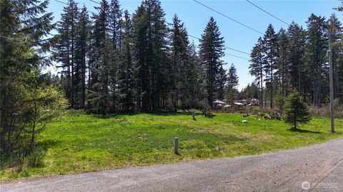 Photo of 170 W Blackberry Lane, Elma, WA 98541 (MLS # 2514553)