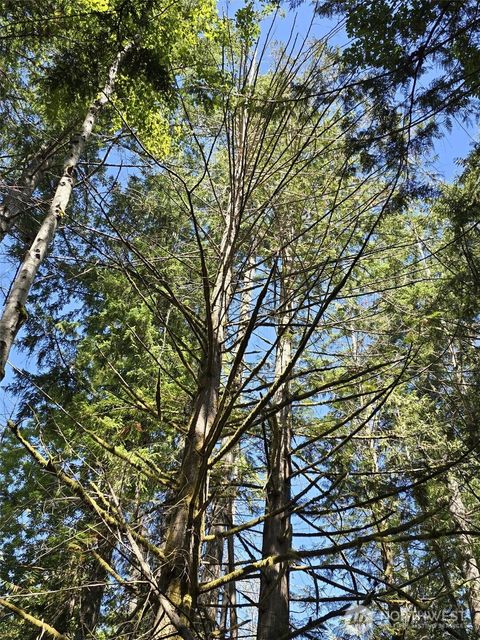 Photo of 309 E Pointes Drive E, Shelton, WA 98584 (MLS # 2423591)