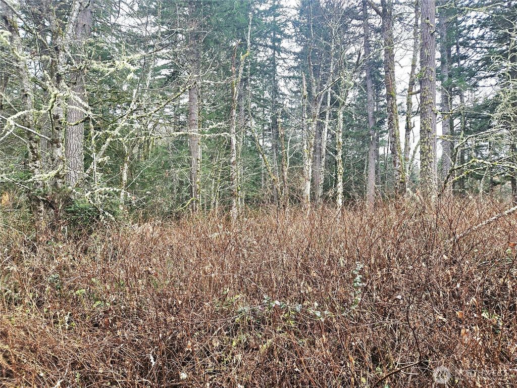 Photo of 4 NKA W Go Onna Drive, Quilcene, WA 98376 (MLS # 2488293)