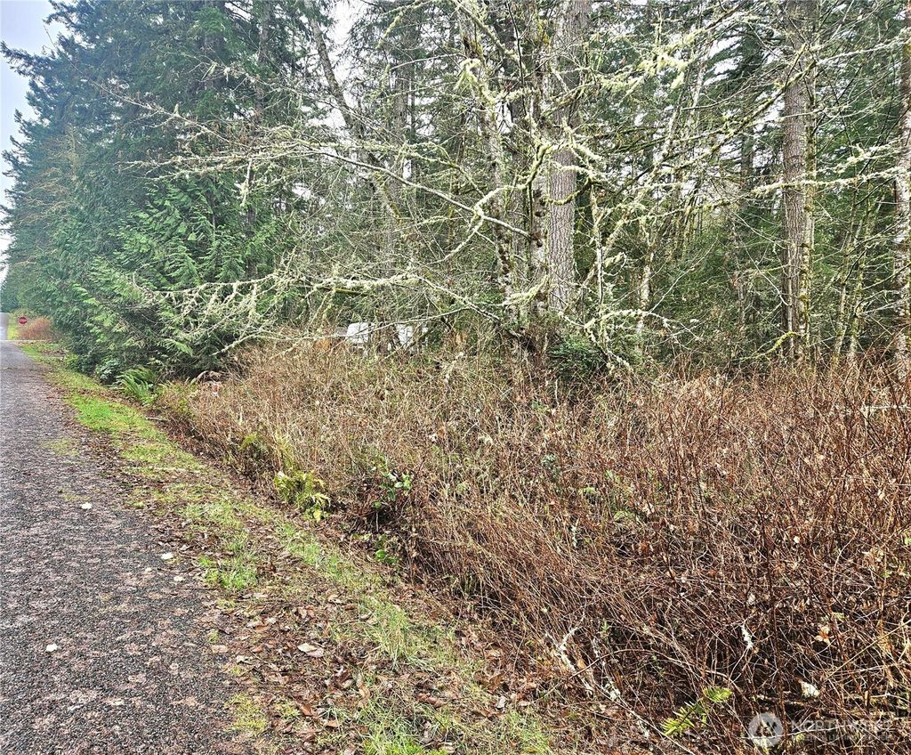 Photo of 4 NKA W Go Onna Drive, Quilcene, WA 98376 (MLS # 2488293)