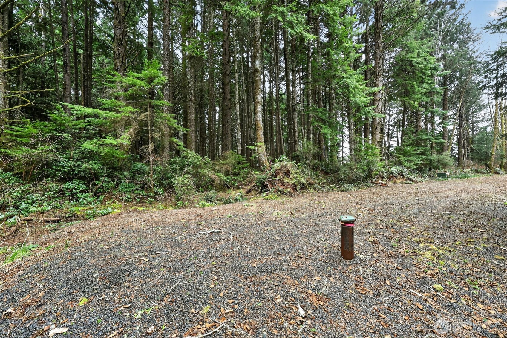 2772 State Route 109