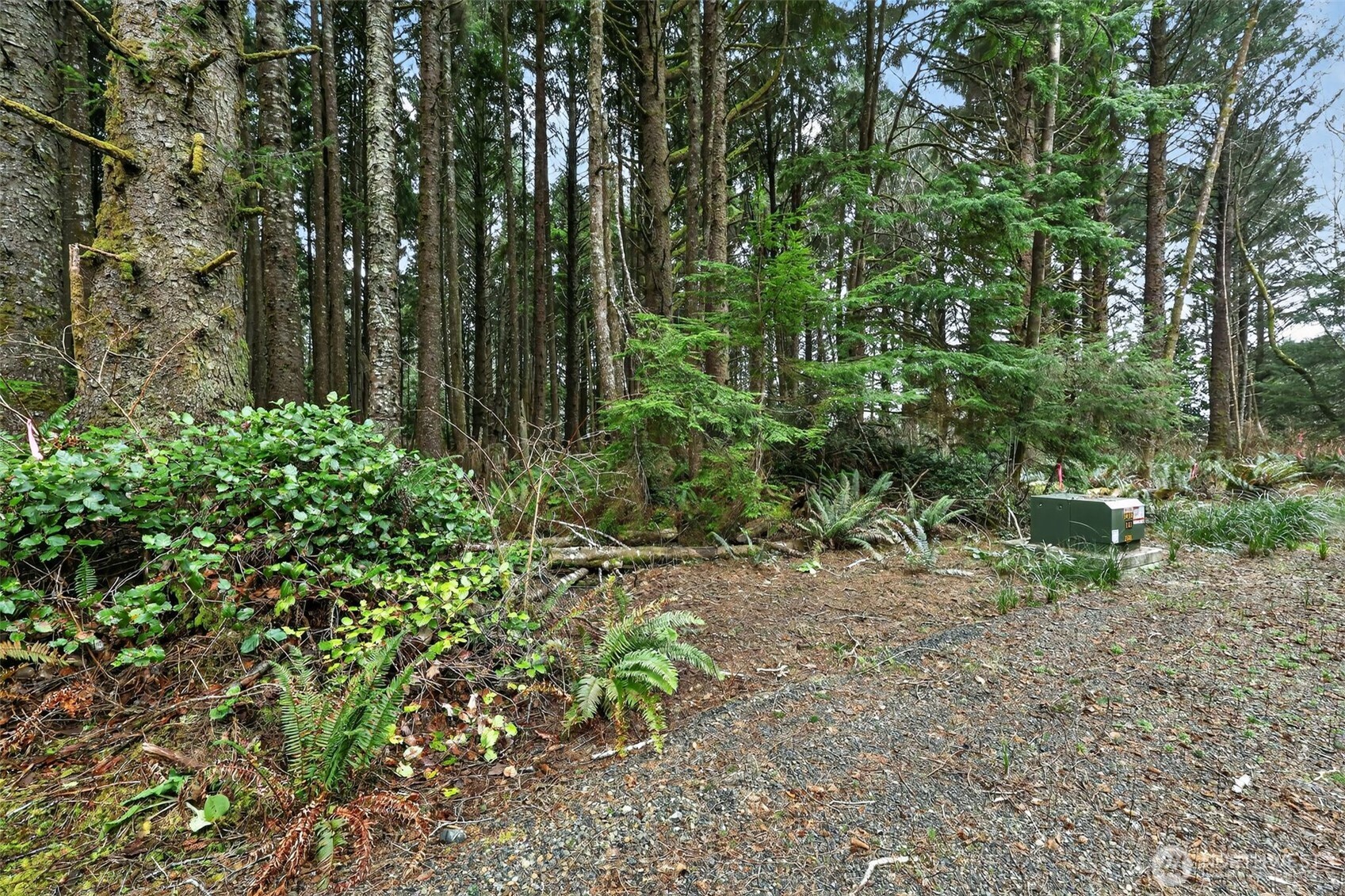 2772 State Route 109