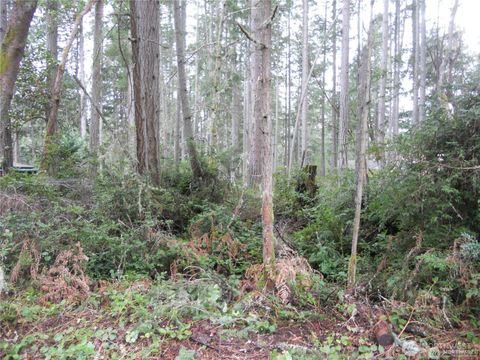 10424 107th Avenue Ct Anderson Island WA 98303