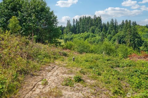1830 Hazel Dell Road Lot 1 Castle Rock WA 98611