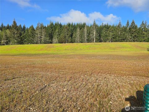 Photo of 81 E Virgil Drive W, Allyn, WA 98524 (MLS # 2513711)