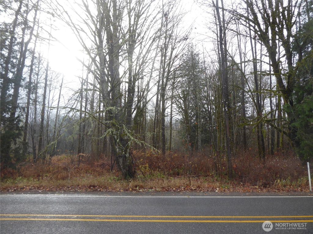 Photo of 0 P45202 &amp; P45188, Marblemount, WA 98267 (MLS # 2500805)