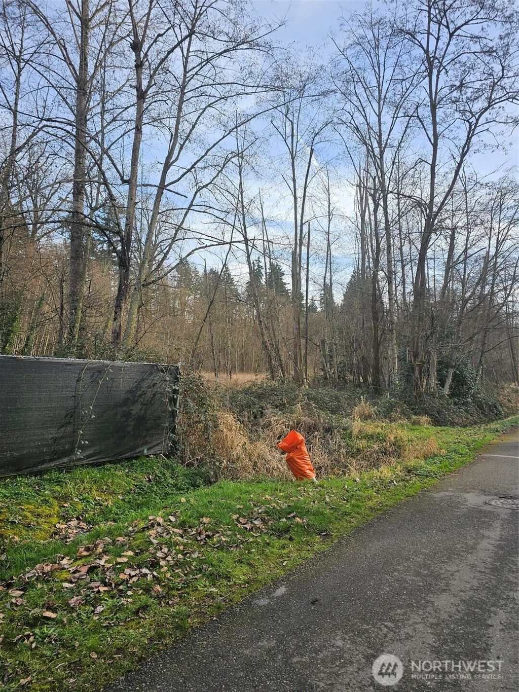 Photo of 40 XX Jones Avenue NE, Renton, WA 98056 (MLS # 2473225)