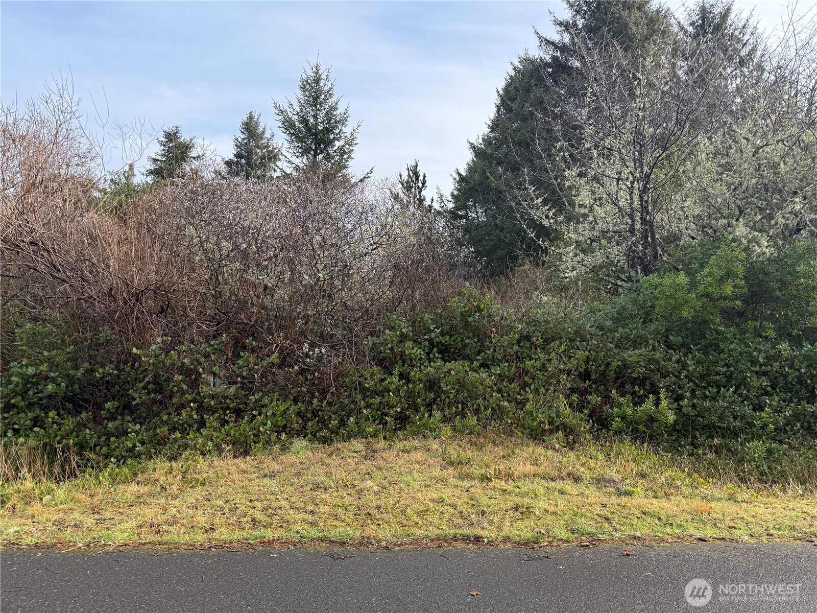148 N Narwhal Loop NW