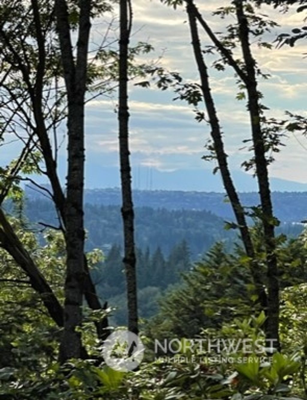 Photo of 13604 SE 54th Place, Bellevue, WA 98006 (MLS # 2036282)