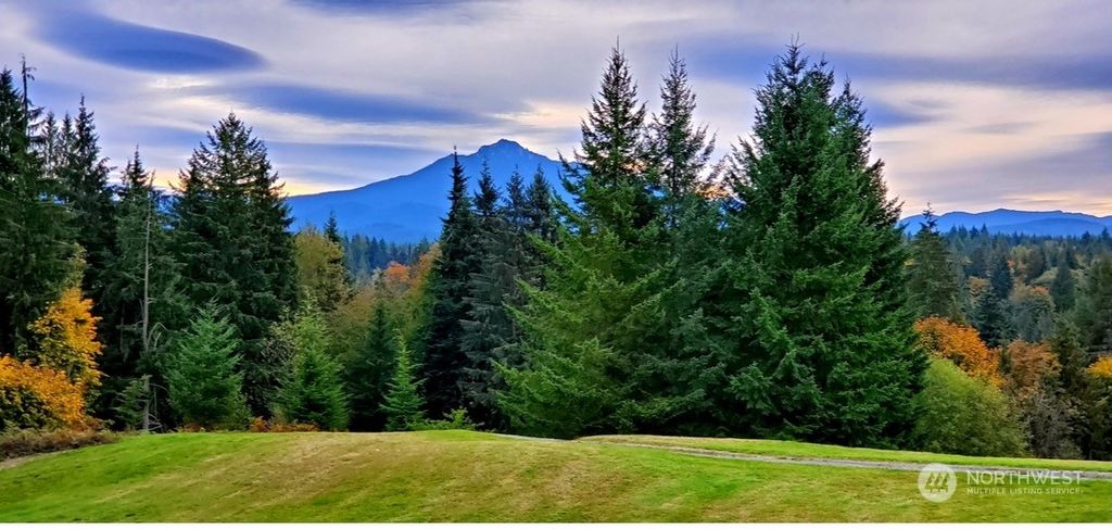 Photo of 20 xx Newberg Road, Snohomish, WA 98290 (MLS # 2293803)