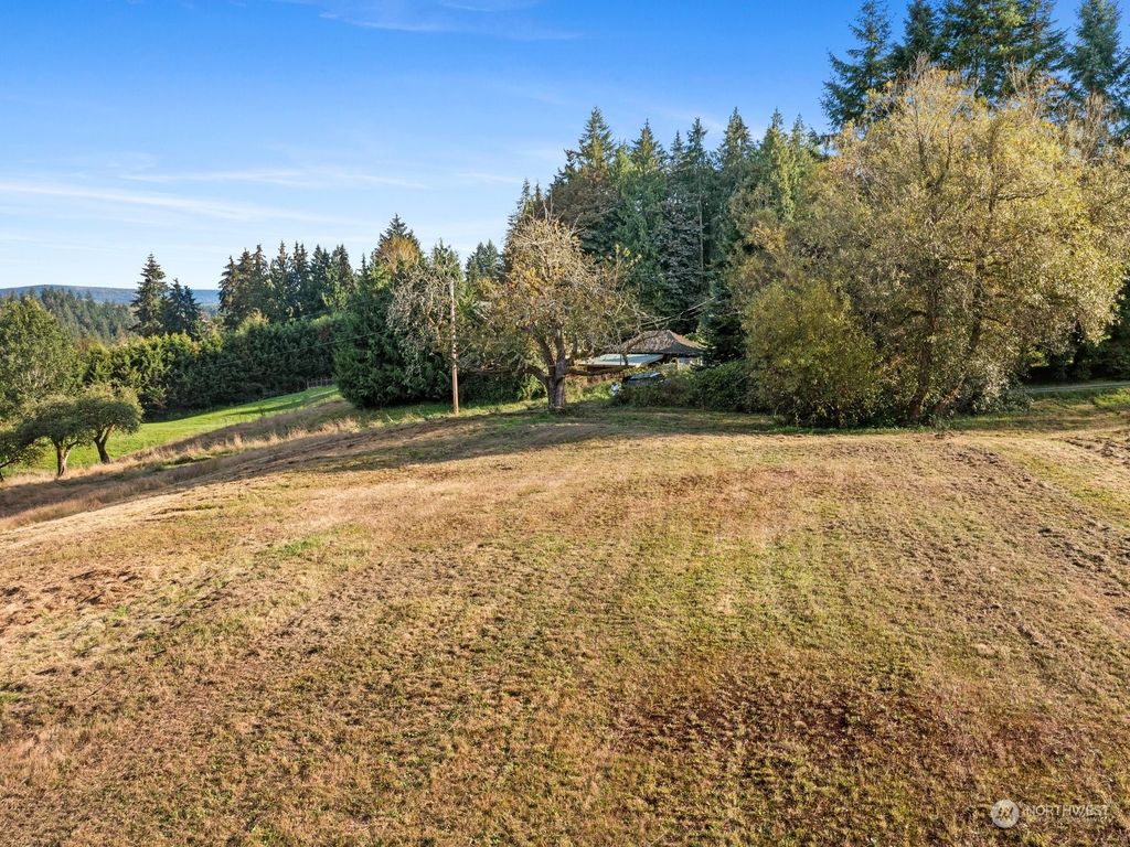 Photo of 20 xx Newberg Road, Snohomish, WA 98290 (MLS # 2293803)