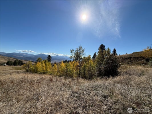 ADDRESS PRIVATE, CURLEW, WA 99118 - Image 4b472aa1d3feb2eebaf25dd2a5759cc7/3252084157