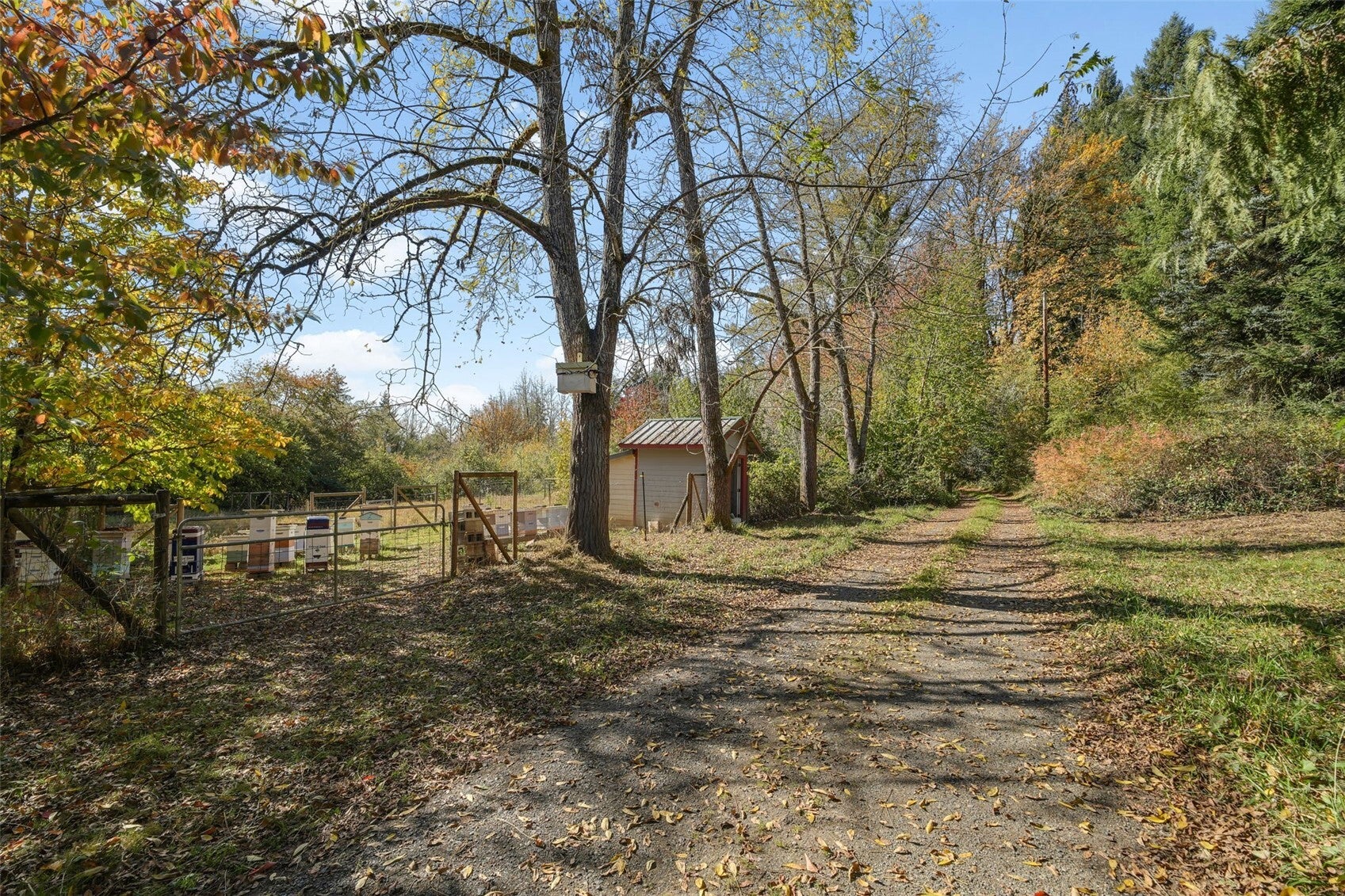 20143 Bucoda Highway SE