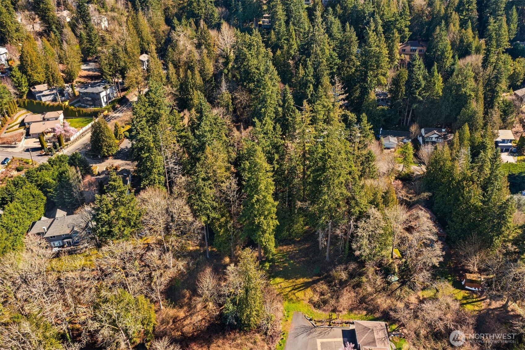 11 E Lake Sammamish Parkway NE