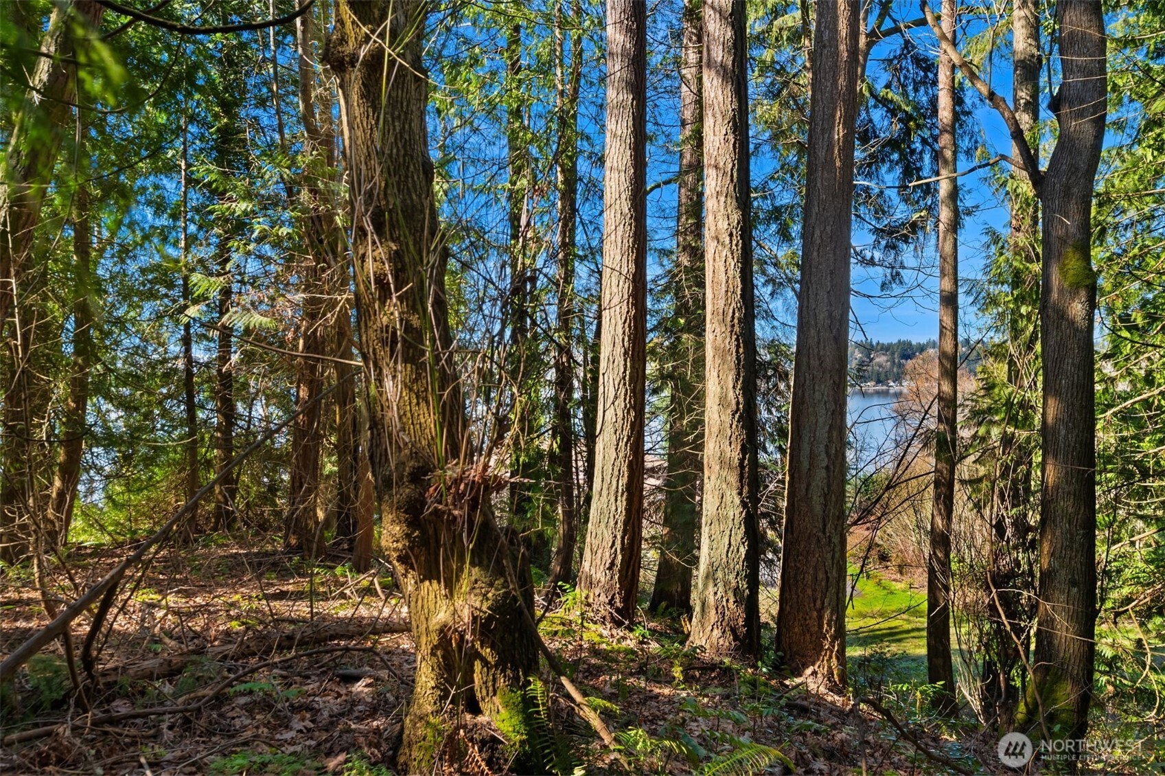 11 E Lake Sammamish Parkway NE