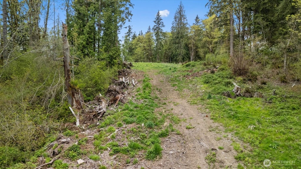 Photo of 25119 153rd Place SE, Monroe, WA 98272 (MLS # 2581300)