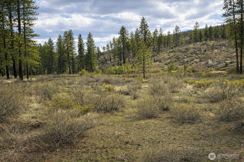 Photo of 1 N Cook Mt Road, Okanogan, WA 98840 (MLS # 2502905)