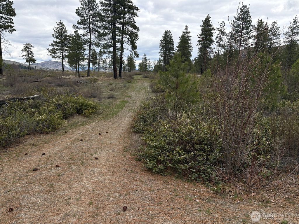 Photo of 1 N Cook Mt Road, Okanogan, WA 98840 (MLS # 2502905)