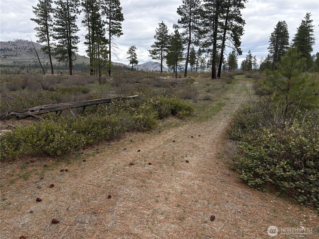 Photo of 1 N Cook Mt Road, Okanogan, WA 98840 (MLS # 2502905)