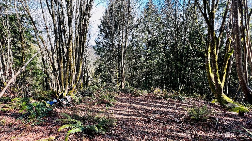 Photo of 13729 Jordan Trails Road, Arlington, WA 98223 (MLS # 2130148)