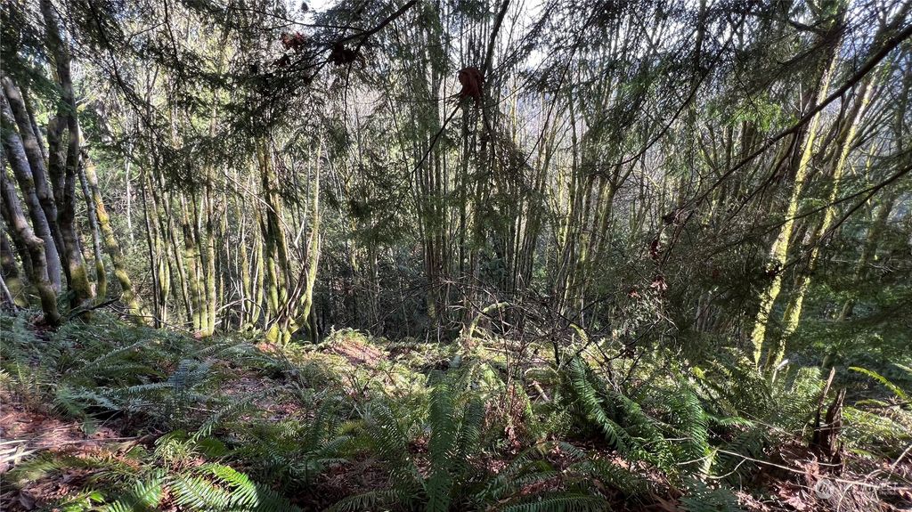 Photo of 13729 Jordan Trails Road, Arlington, WA 98223 (MLS # 2130148)