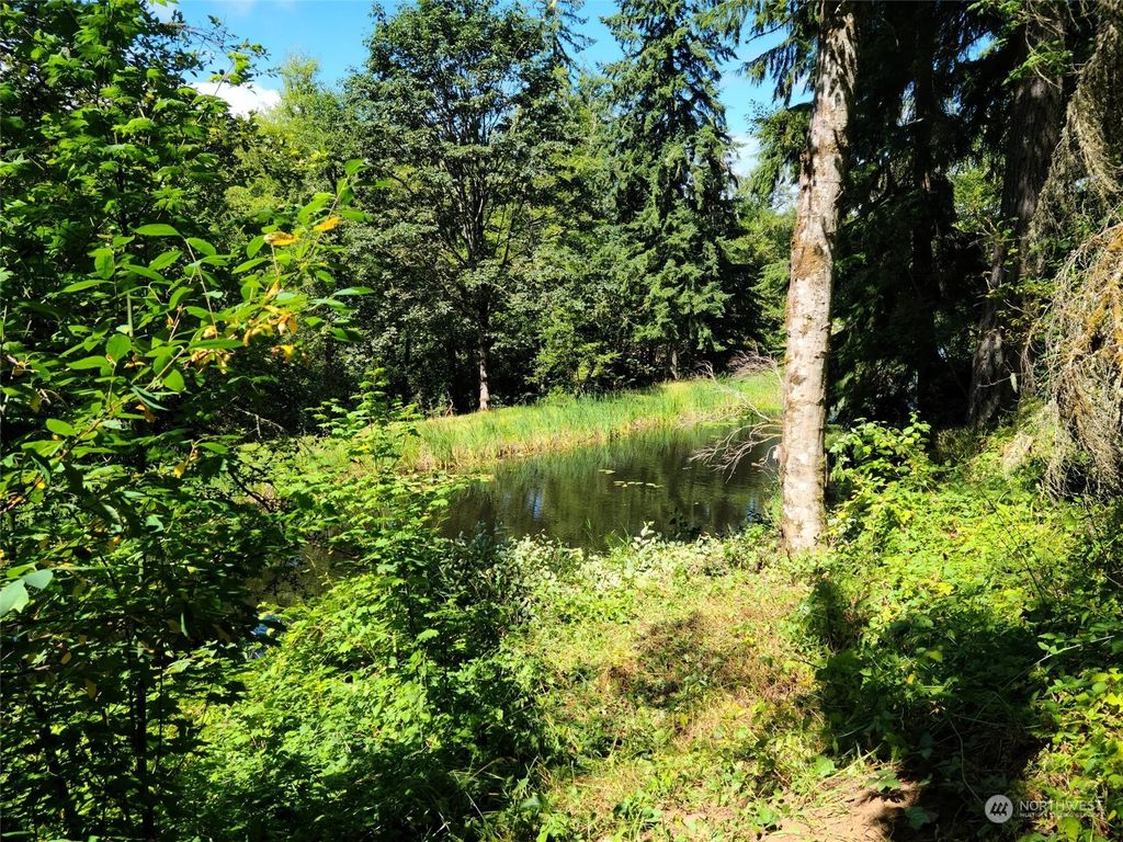 Photo of 23904 Lot 9 E Lake Kayak Drive, Monroe, WA 98272 (MLS # 2151450)