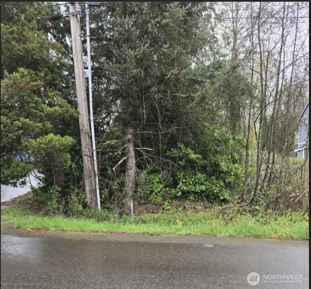 Photo of 13041 33rd Avenue S, Tukwila, WA 98168 (MLS # 2452623)