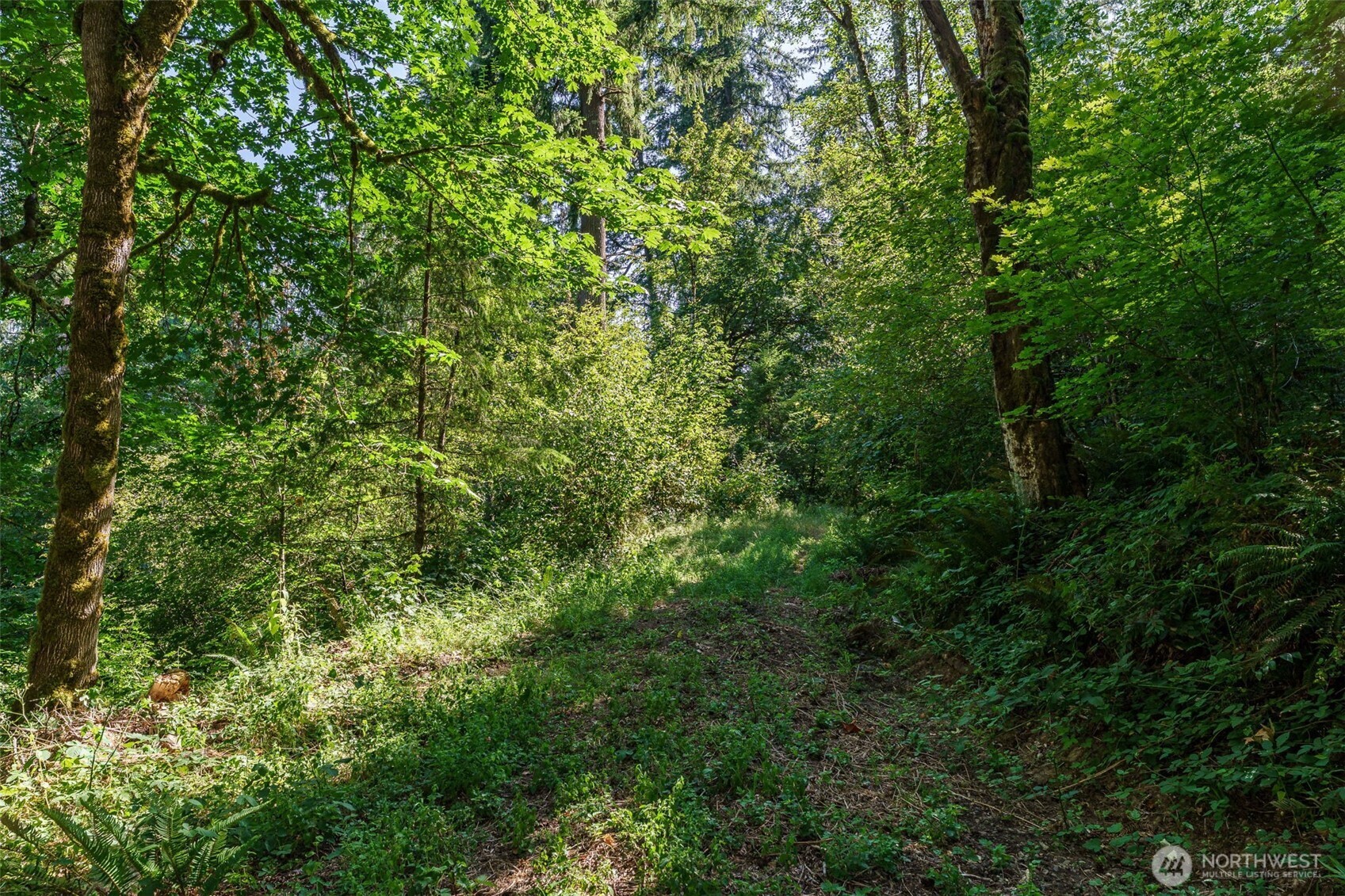 0 NE Johnson Rd (Parcel# 222320000)