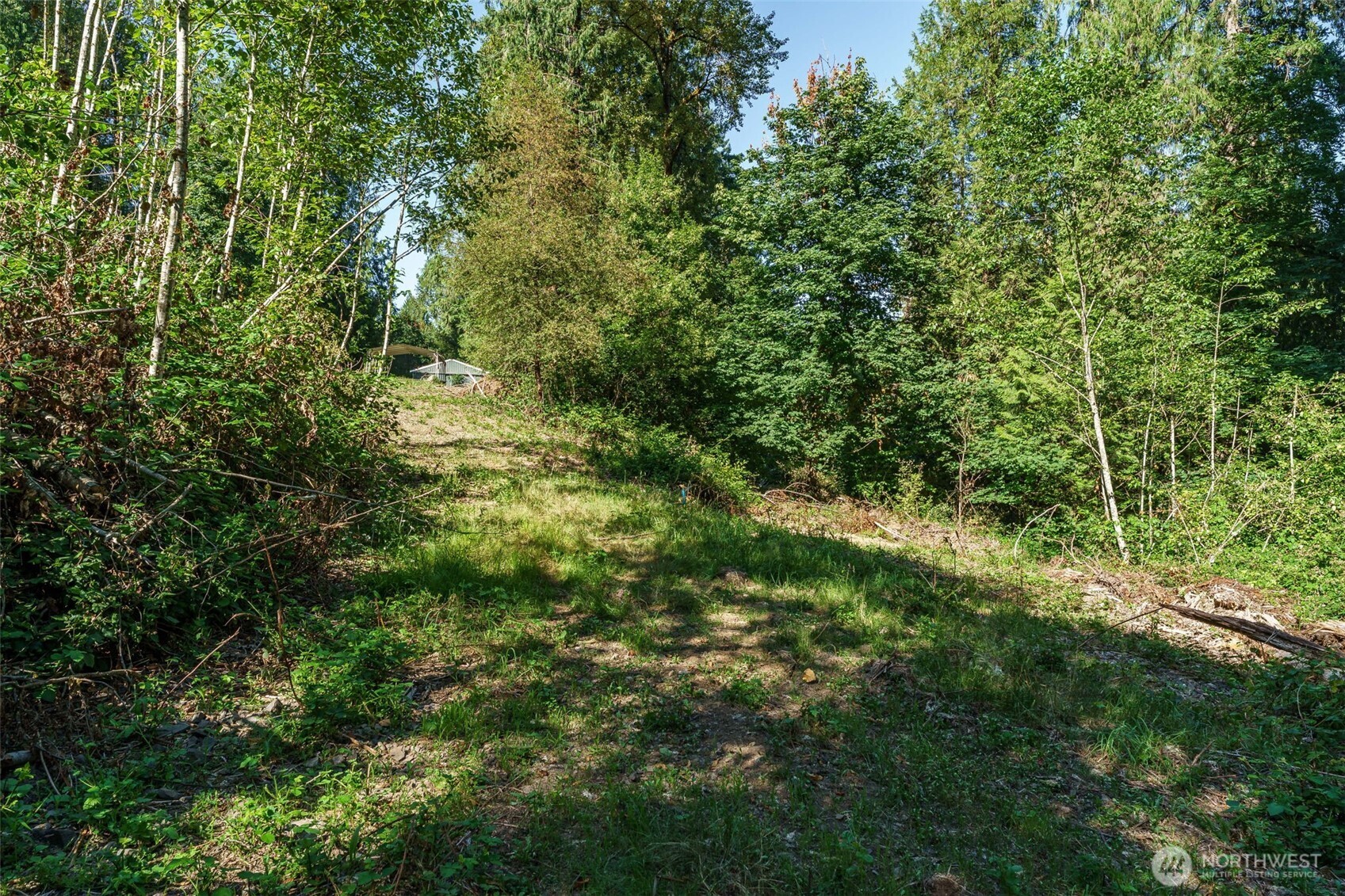 0 NE Johnson Rd (Parcel# 222320000)