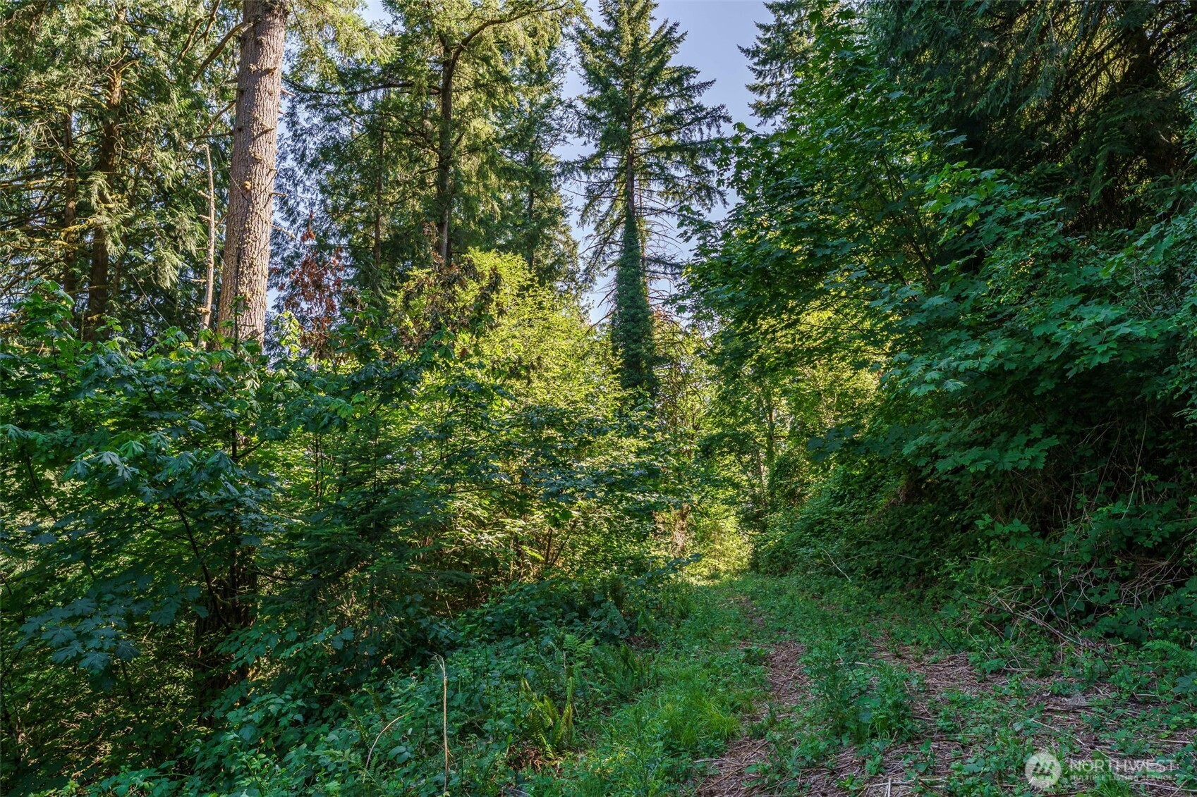 0 NE Johnson Rd (Parcel# 222320000)