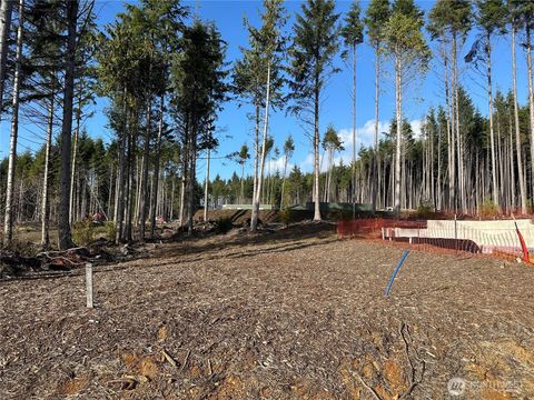 Photo of 45 Bungalow Loop, Pacific Beach, WA 98571 (MLS # 2446280)
