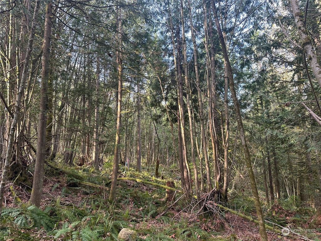 Photo of 32 XX 290th Way NE, Redmond, WA 98053 (MLS # 2148649)