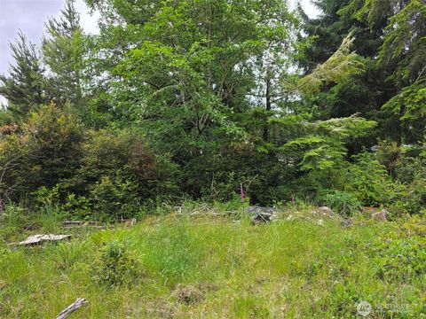 27312 W Street Ocean Park WA 98640
