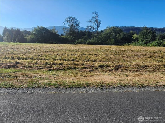 1333 RAILROAD AVE, SEDRO WOOLLEY, WA 98284 - Image 4c81a01548d88a7df82126e498da886e/1398043409