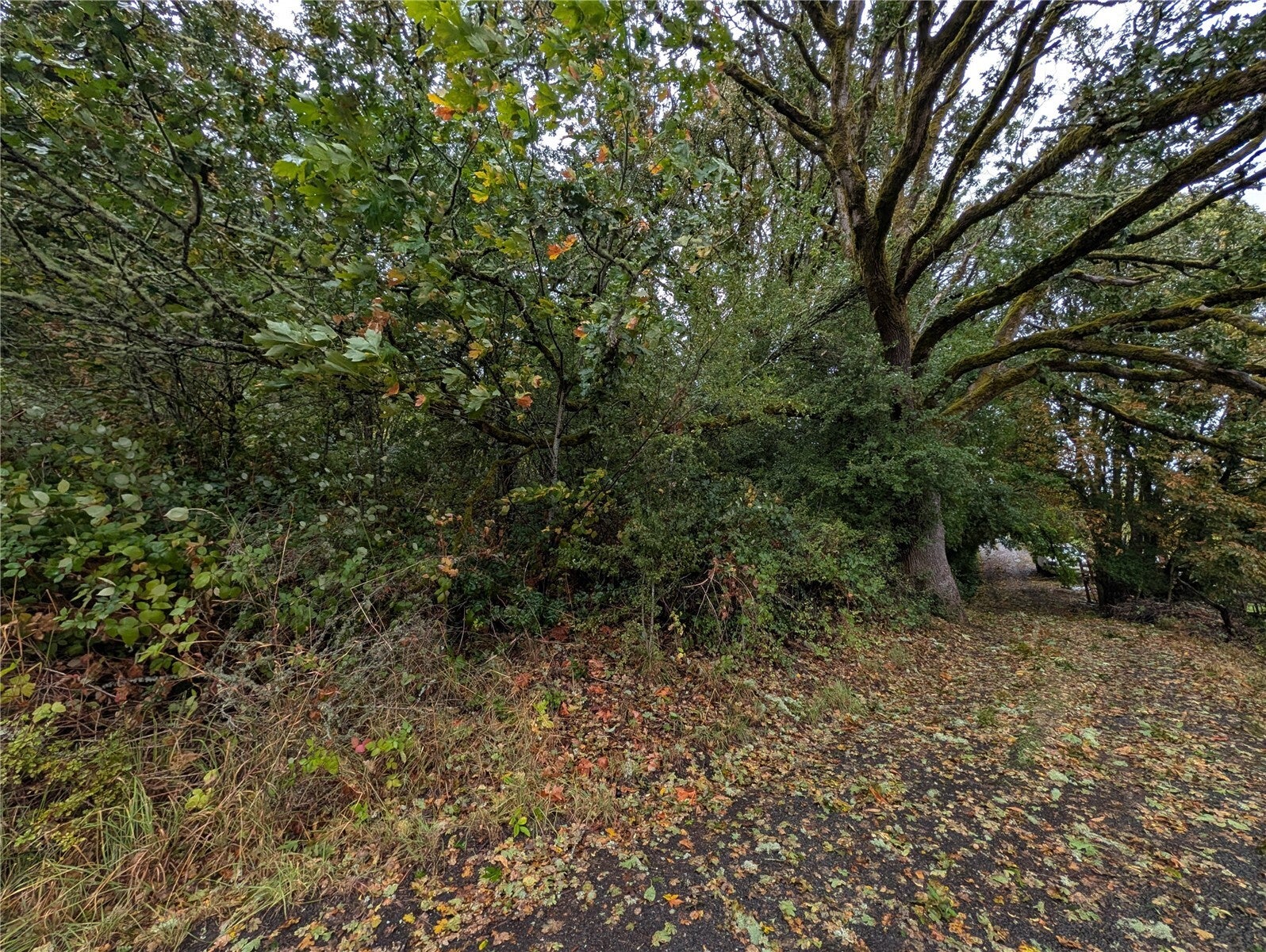 0 NE Cascade Avenue
