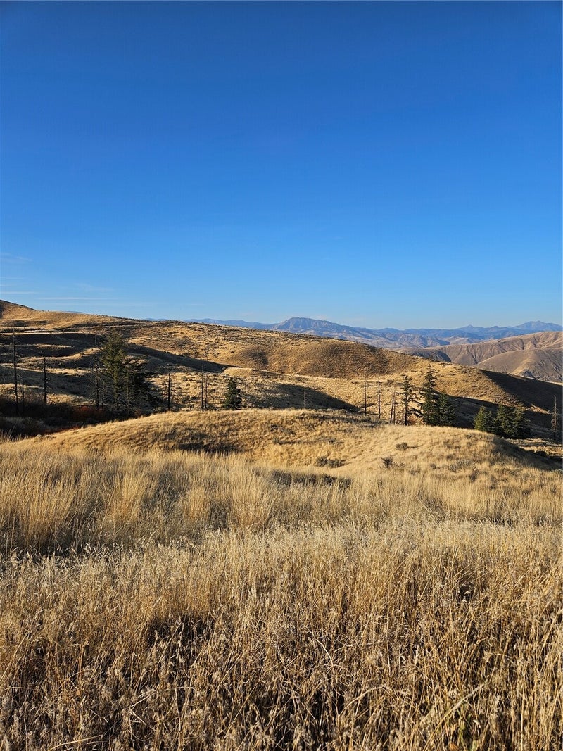 8 Blue Grade Road