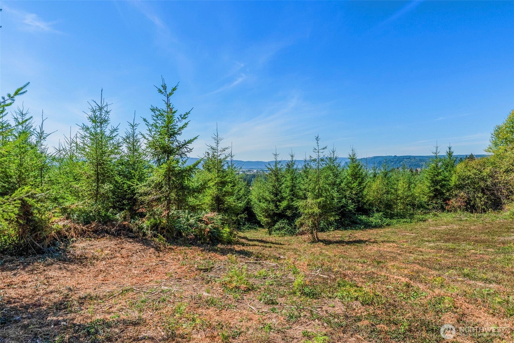 0 Old Tree Farm Drive F
