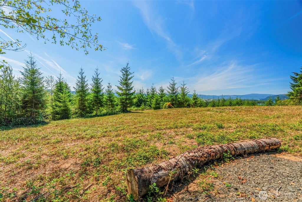 Photo of 0 Old Tree Farm Drive #F, Longview, WA 98632 (MLS # 2578889)