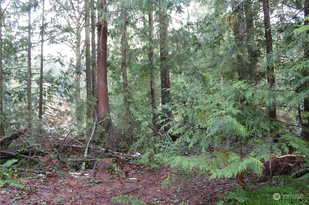 Photo of 17523 433rd Ave SE, Gold Bar, WA 98251 (MLS # 2022237)
