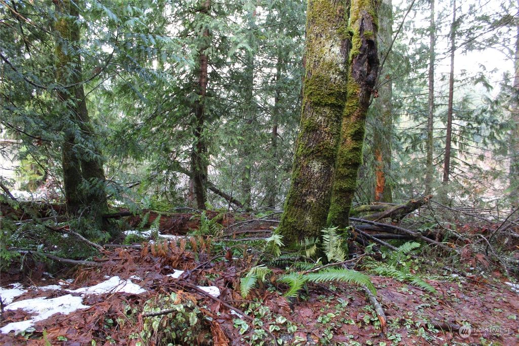 Photo of 17523 433rd Ave SE, Gold Bar, WA 98251 (MLS # 2022237)