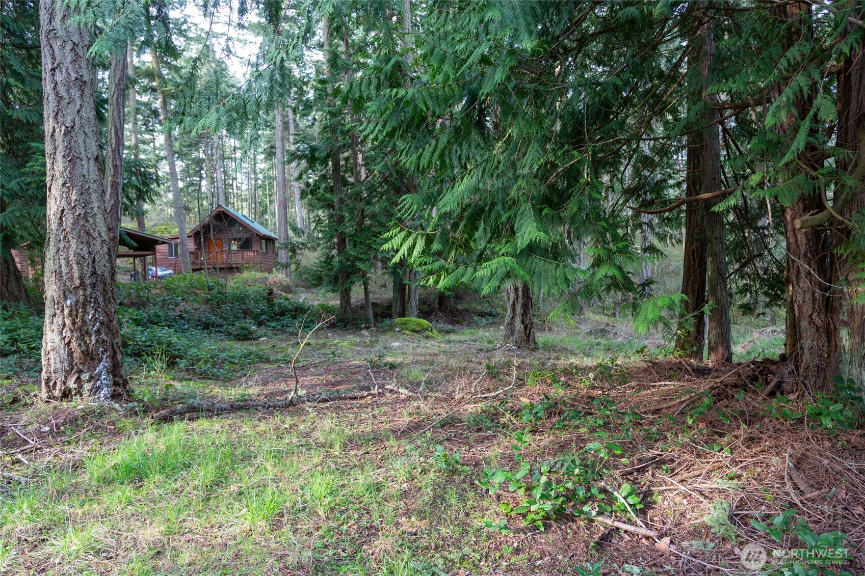 87 Conifer Lane