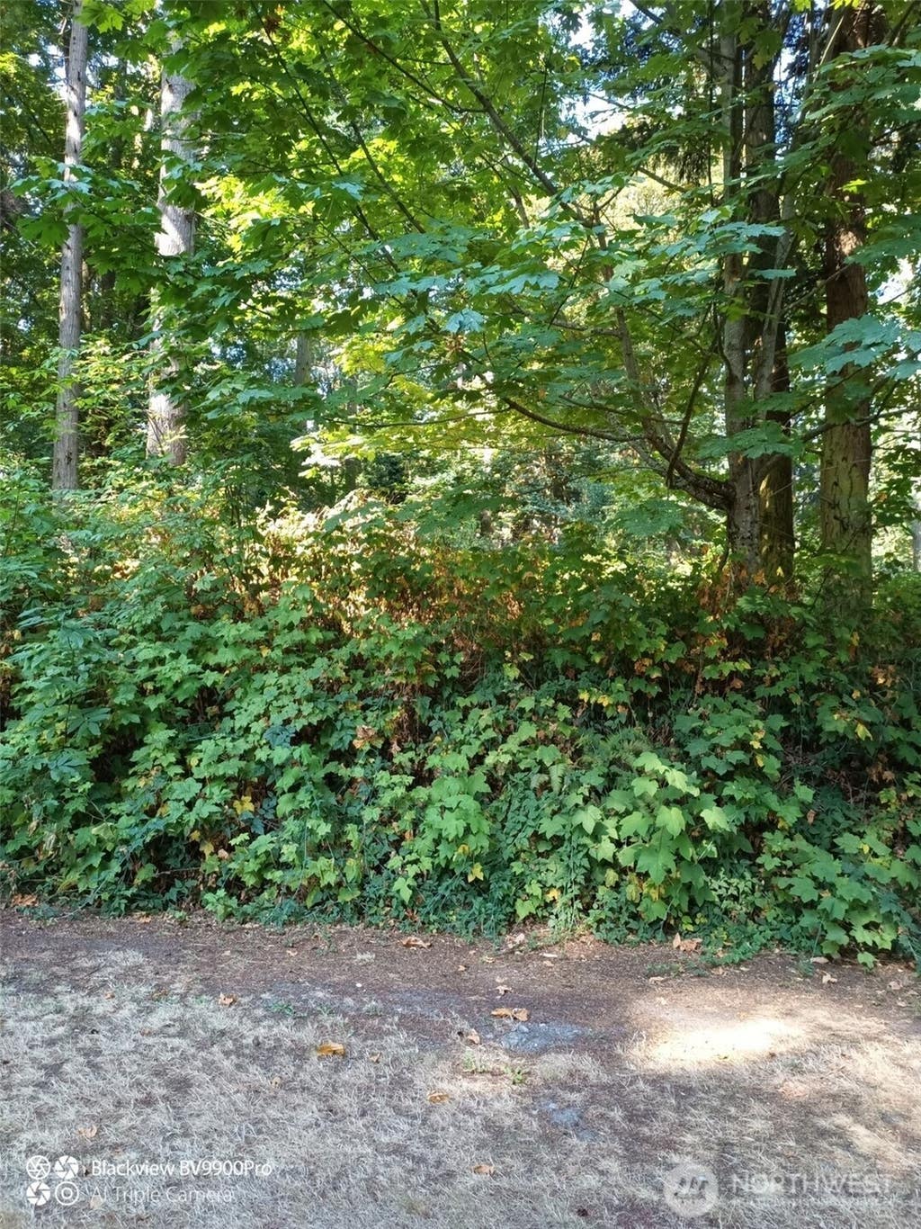 Photo of 86 G Hat Place, Hat Island, WA 98206 (MLS # 2574260)