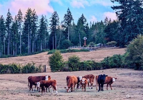 409 Bergeson Road SW, Lakebay, WA 98349 - MLS#: 2157713
